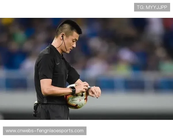 即时回放系统判罚准确性评估：UFC295争议判决促技术升级